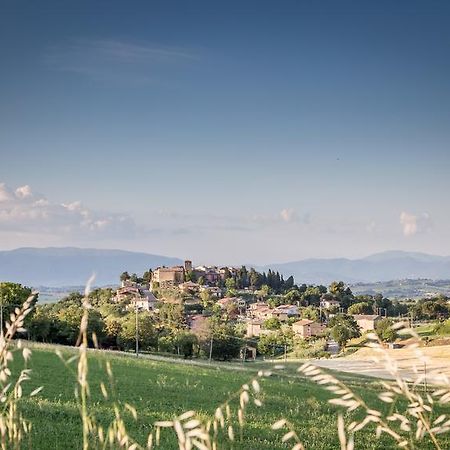 Domus In Castro Bed & Breakfast Montecchio  Exterior photo